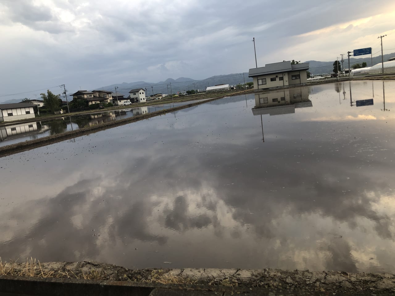 田んぼに水が入り始めた