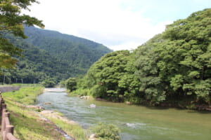 やな茶屋もがみに立ち寄る